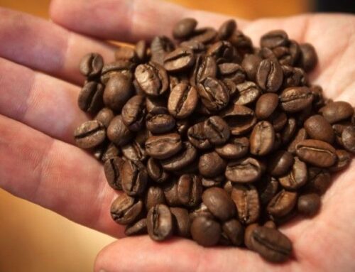 Café pode ter maior preço em mais de 25 anos com problemas na produção